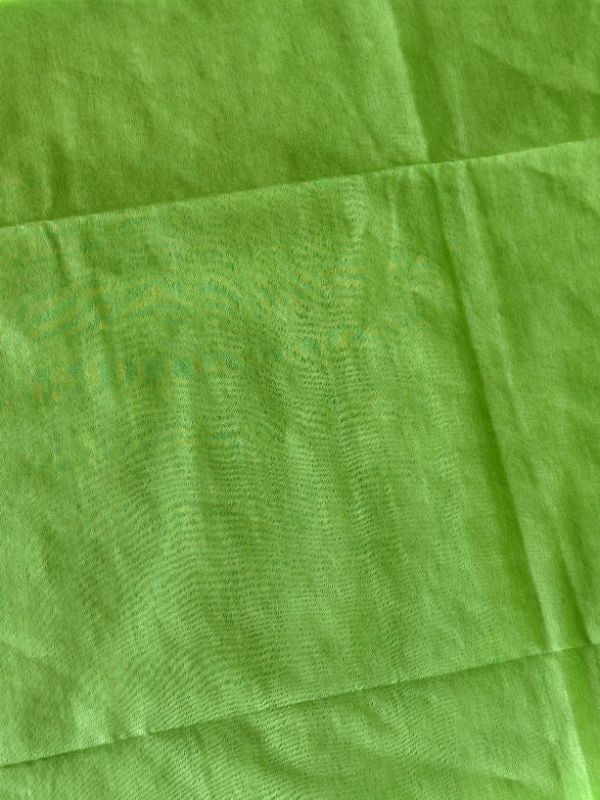 Matching blouse piece with parrot green Tussar silk saree